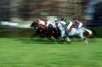 Picture of horses racing