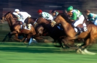 Picture of horses racing