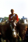 Picture of household cavalry, drummer riding the shire drum horse