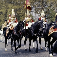 Picture of household cavalry leaving barracks 1976