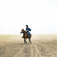 Picture of Hungarian Horse ridden by csikÃ³ on Hortobagyi Puszta