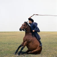 Picture of Hungarian horse sitting, CsikÃ³ cracks whip and demonstrates his horse's traditional tricks on the Puszta