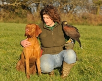 Picture of Hungarian Wirehaired Vizsla (aka Magyar Vizsla, Ungarisch Drahthaar) with woman and bird of prey