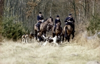Picture of hunting scene in france
