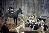 Picture of hunting scene in france