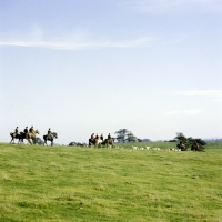 Picture of hunting, vale of aylesbury hunt