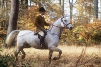 Picture of huntsman with the vale of aylesbury hunt