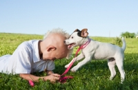 Picture of Jack Russell playing with boy