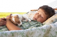 Picture of jack russell pup with boy sleeping in a hammock