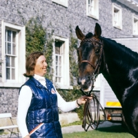 Picture of Jennie Loriston-Clarke and Dutch Courage,  famous Dutch warm blood stallion at Goodwood, Winner National Dressage Championships 6 times
