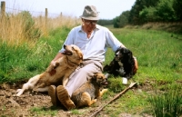 Picture of john holmes, animal trainer with three of his dogs