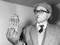 Picture of john holmes, animal trainer with a tame, film star little owl