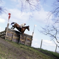 Picture of jumping a drop fence at badminton 1972