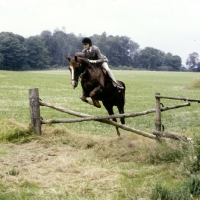 Picture of jumping crossed poles with the pony club