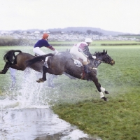 Picture of jumping the water at point to point, kimble
