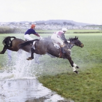 Picture of jumping the water at point to point, kimble
