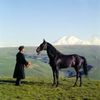 Picture of Kabardine horse held by cossack in Caucasus mountains mt elbruz in background