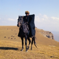 Picture of Kabardine horse ridden by cossack in Caucasus mountains, wearing traditional clothes