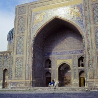 Picture of karabair horse and rider in registan square, samarkand