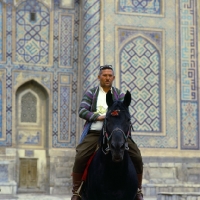 Picture of karabair horse and rider in registan square, samarkand