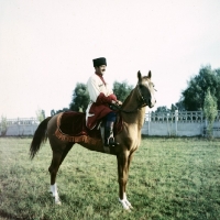 Picture of karabakh with rider in traditional clothes