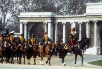 Picture of kings troop royal horse artillery in ceremonial dress in london