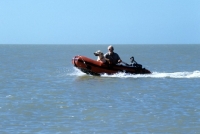 Picture of labrador in boat off florida usa