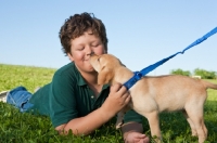 Picture of Labrador puppy licking boy