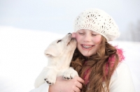 Picture of Labrador puppy licking girl