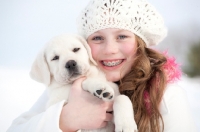 Picture of Labrador puppy with proud girl