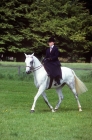 Picture of lady riding side saddle on grey horse