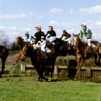 Picture of landing over  a fence at a point to point,  kimble
