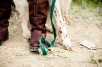 Picture of legs and boots