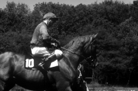 Picture of lester piggott and racehorse at goodwood races