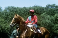 Picture of lester piggott at goodwood races