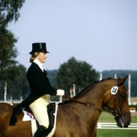 Picture of lucinda green, event dressage, killaire, 1979

