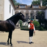 Picture of lusitano in front of great portuguese country house shown by campino in traditional livery