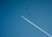 Picture of mallard ducks flying with airplane