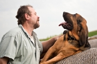 Picture of man and bloodhound looking at each other with round hay bales.