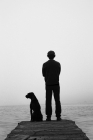 Picture of Man and Boxer standing on dock in fog