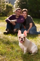 Picture of man and woman with young French Bulldog