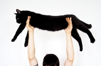 Picture of Man holding black cat