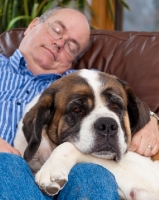 Picture of man resting with his Saint Bernard