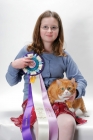 Picture of Manx cat with girl, Red Mackerel Tabby & White colour