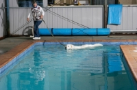 Picture of Maremma Sheepdog at indoor training pool