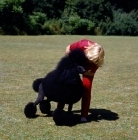 Picture of marita rogers posing ch montravia tommy gun standard poodle, for photography