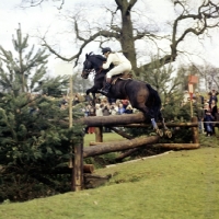 Picture of mark phillips at badminton 1972