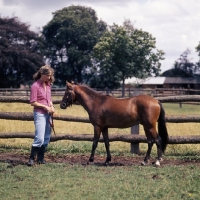 Picture of maroun caspian pony stallion with owner elizabeth alderson
