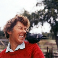 Picture of mary holmes animal trainer with jackdaw pecking off her nose