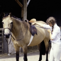 Picture of measuring stirrup leathers